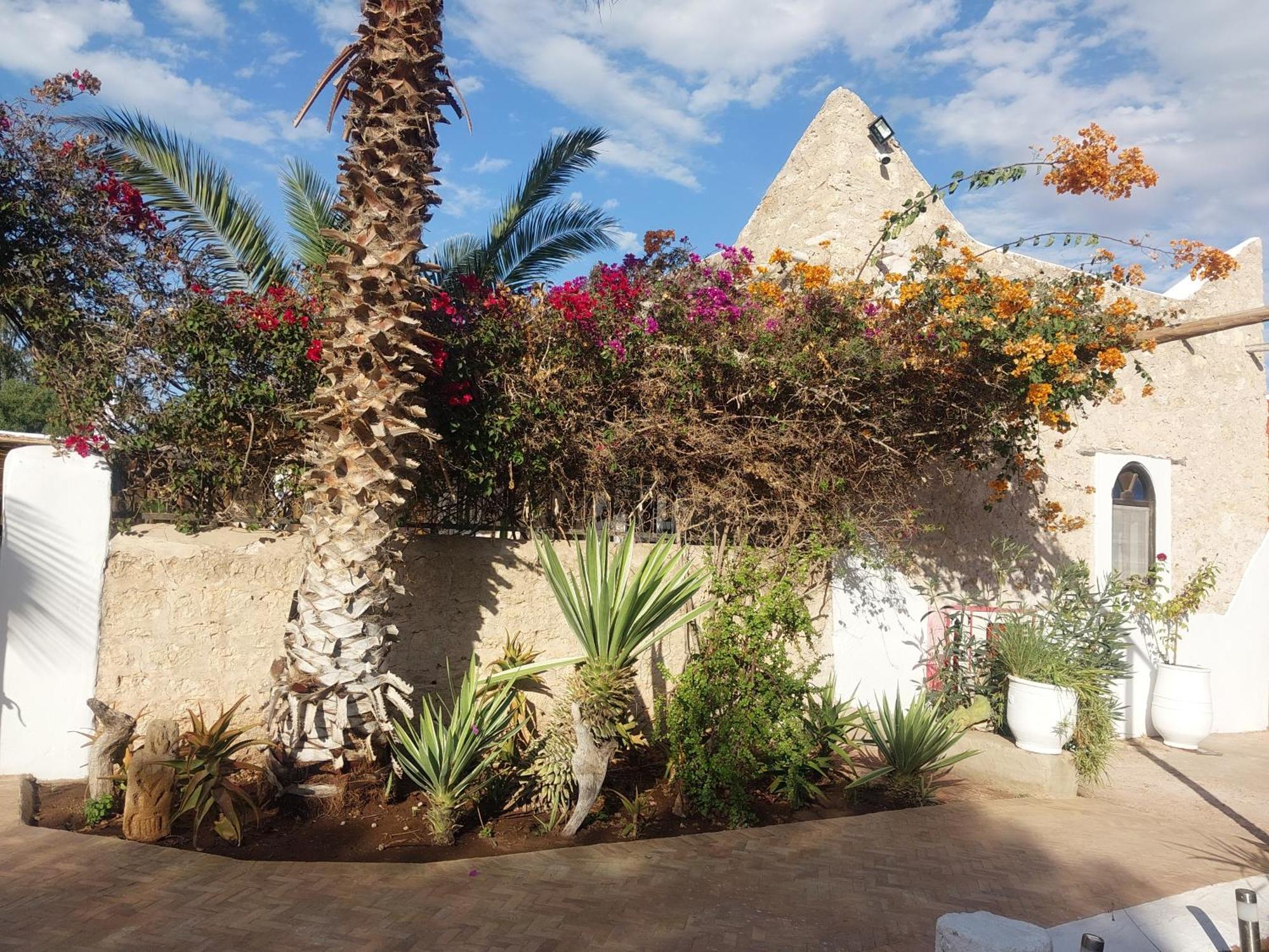 Eucalyptus 3* Essaouira