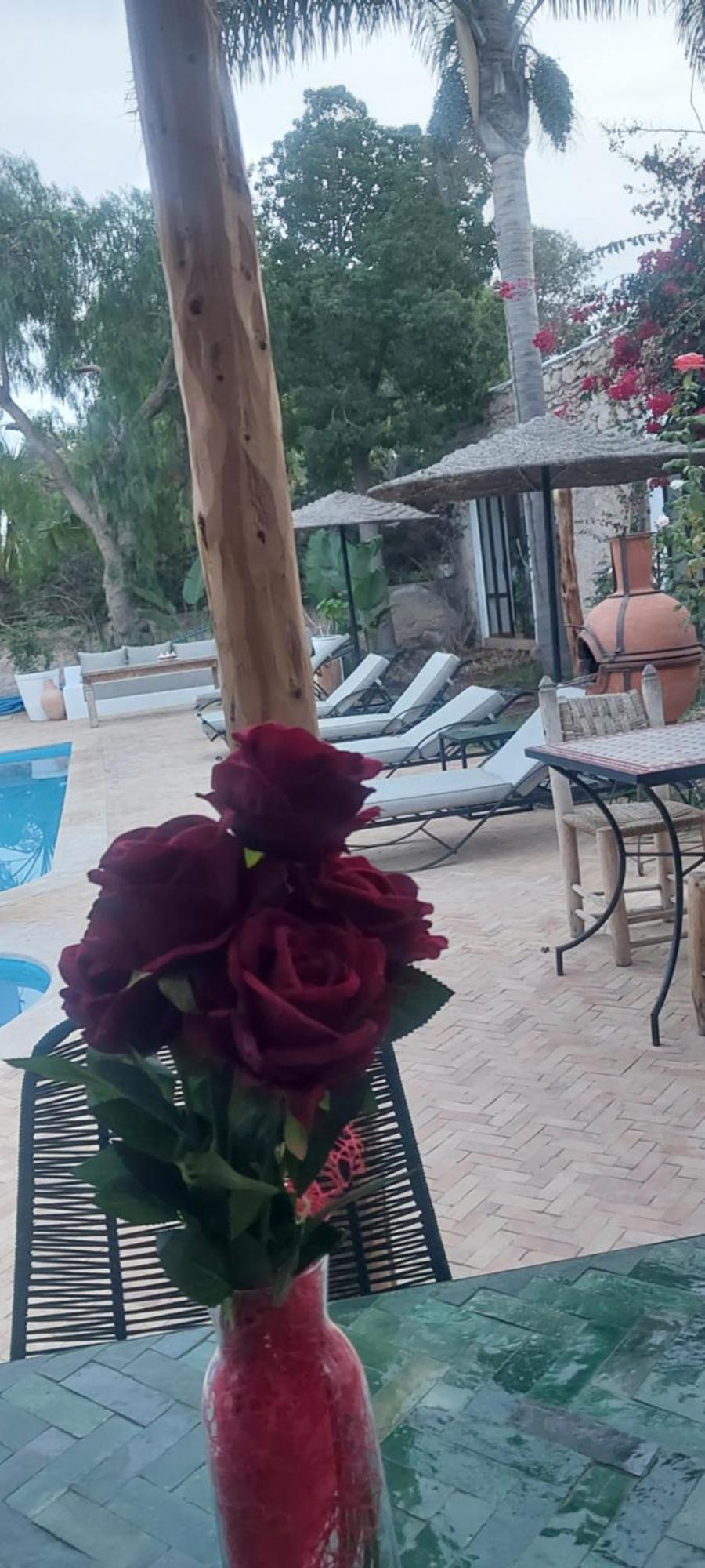 Gasthof Eucalyptus 3*